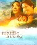 Смотреть фильм Движение по небу / Traffic in the Sky (2007) онлайн в хорошем качестве HDRip