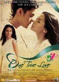 Смотреть фильм Единственная настоящая любовь / One True Love (2008) онлайн в хорошем качестве HDRip