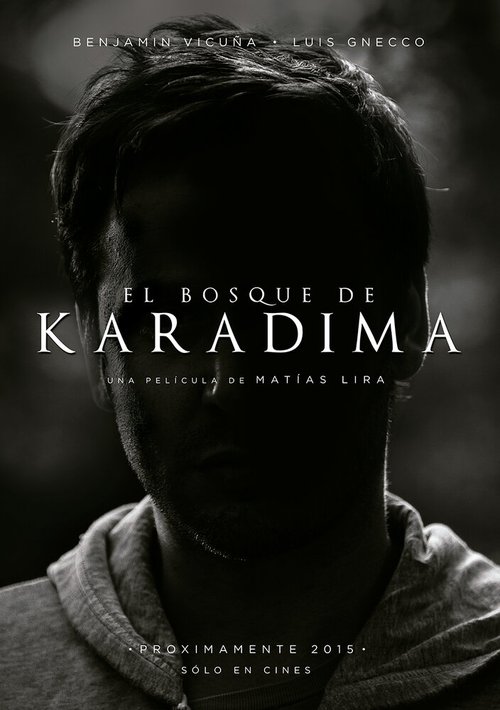 Смотреть фильм El Bosque de Karadima (2015) онлайн в хорошем качестве HDRip