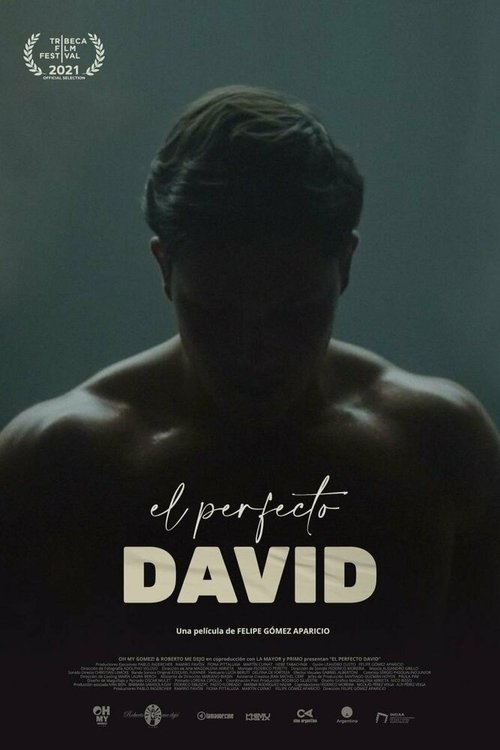 Смотреть фильм El perfecto David (2021) онлайн в хорошем качестве HDRip