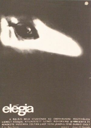 Смотреть фильм Элегия / Elégia (1965) онлайн 