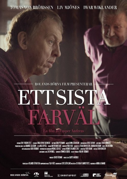 Смотреть фильм Ett sista farväl (2013) онлайн 