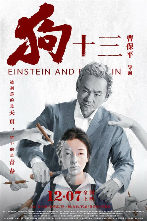 Смотреть фильм Эйнштейн и Эйнштейн / Gou shi san (2013) онлайн в хорошем качестве HDRip