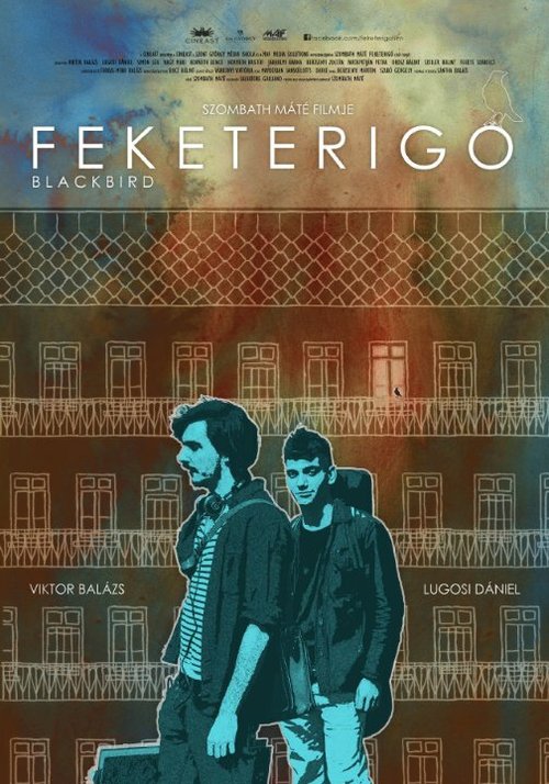 Смотреть фильм Feketerigó (2015) онлайн 