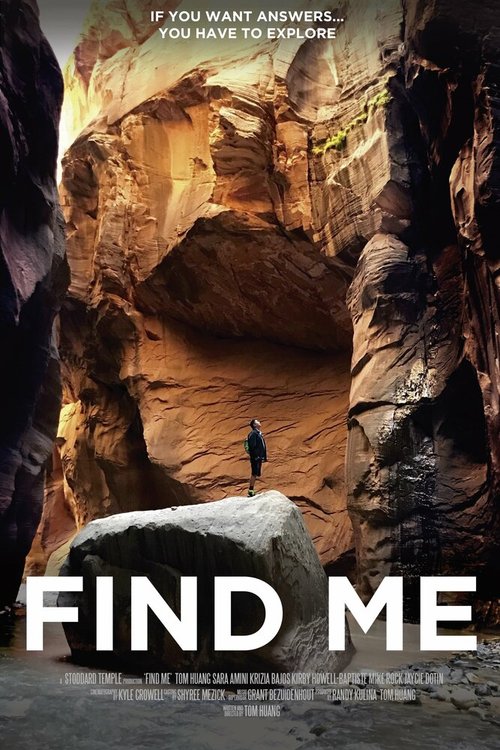 Смотреть фильм Find Me (2018) онлайн в хорошем качестве HDRip
