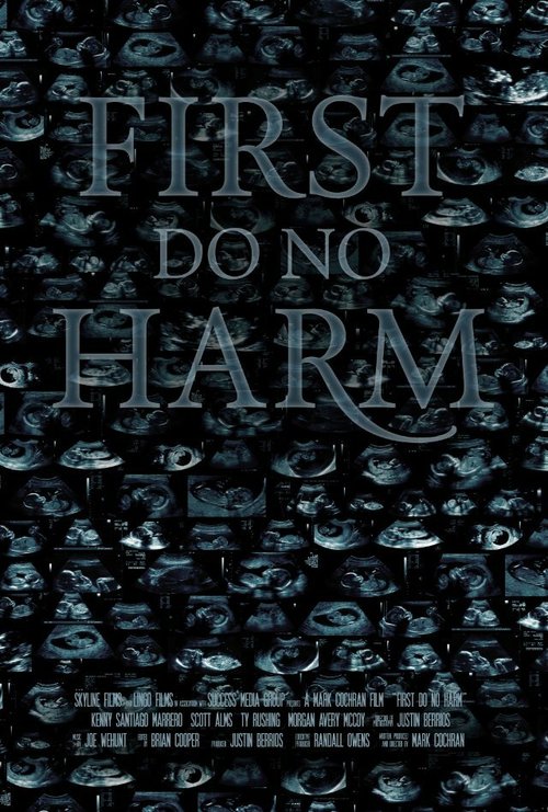 Смотреть фильм First, Do No Harm (2014) онлайн 