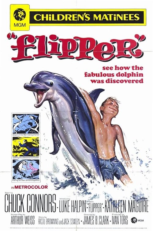 Смотреть фильм Флиппер / Flipper (1963) онлайн в хорошем качестве SATRip