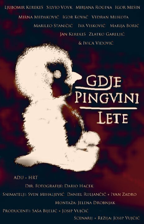 Смотреть фильм Gdje pingvini lete (2008) онлайн в хорошем качестве HDRip