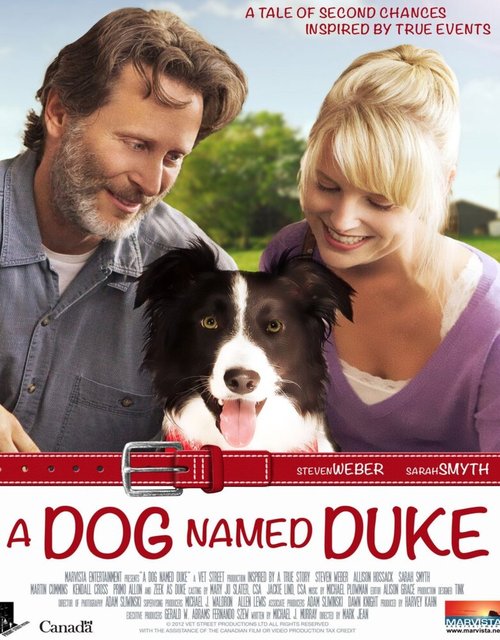 Смотреть фильм Герцог / Duke (2012) онлайн в хорошем качестве HDRip