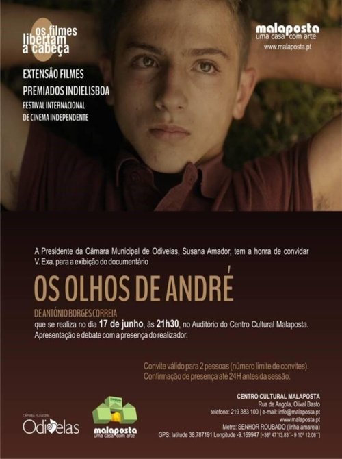 Смотреть фильм Глаза Андре / Os Olhos de André (2015) онлайн в хорошем качестве HDRip