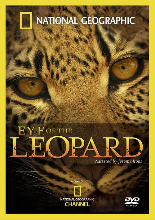 Смотреть фильм Глазами леопарда / Eye of the Leopard (2006) онлайн в хорошем качестве HDRip