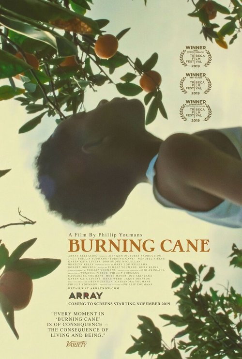 Горящий тростник / Burning Cane