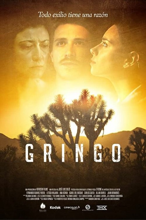Смотреть фильм Gringo (2016) онлайн в хорошем качестве CAMRip