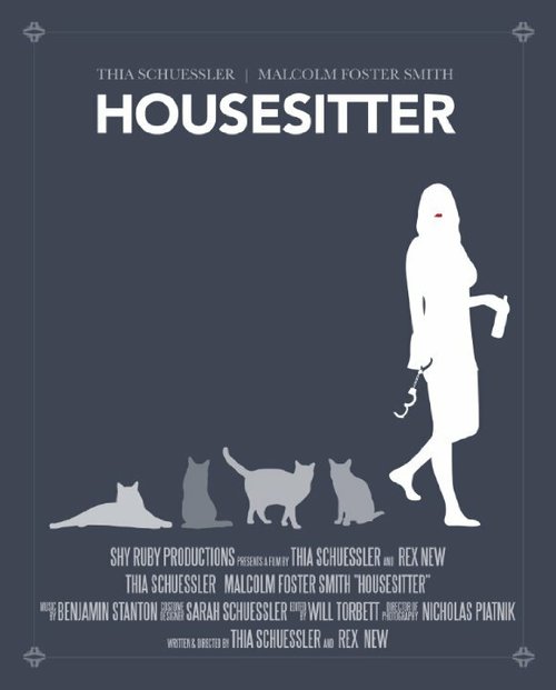 Смотреть фильм Housesitter (2013) онлайн 