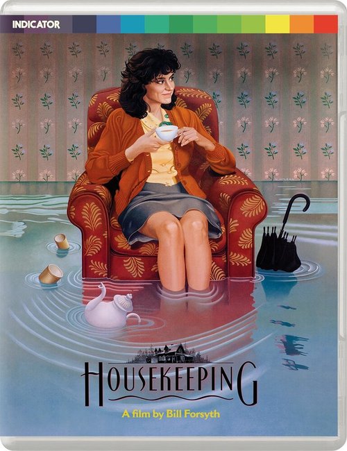 Смотреть фильм Хозяйство / Housekeeping (1987) онлайн в хорошем качестве SATRip