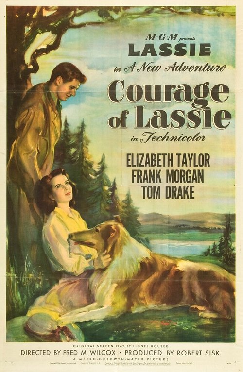 Смотреть фильм Храбрость Лэсси / Courage of Lassie (1946) онлайн в хорошем качестве SATRip
