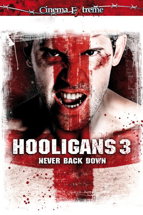 Смотреть фильм Хулиганы 3 / Green Street 3: Never Back Down (2013) онлайн в хорошем качестве HDRip