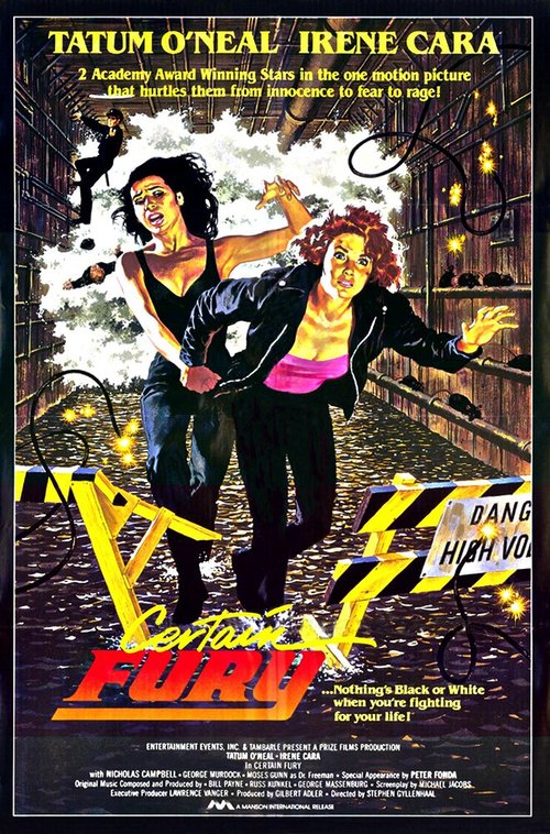 Смотреть фильм Исключительная ярость / Certain Fury (1985) онлайн в хорошем качестве SATRip