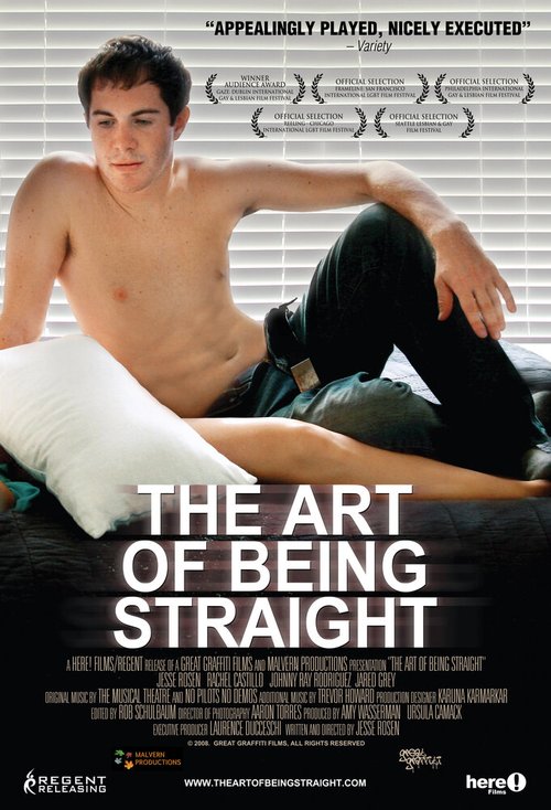 Смотреть фильм Искусство быть натуралом / The Art of Being Straight (2008) онлайн в хорошем качестве HDRip