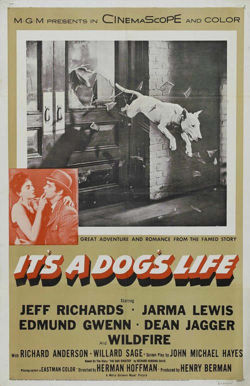 Смотреть фильм It's a Dog's Life (1955) онлайн в хорошем качестве SATRip