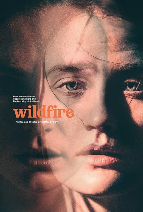 Смотреть фильм Из огня да в полымя / Wildfire (2020) онлайн в хорошем качестве HDRip