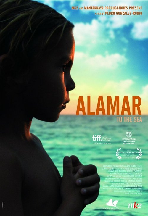 Смотреть фильм К морю / Alamar (2009) онлайн в хорошем качестве HDRip