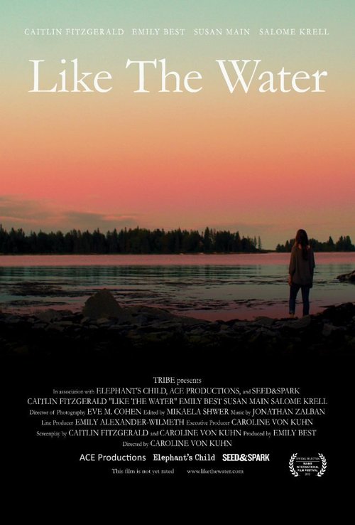 Смотреть фильм Как вода / Like the Water (2012) онлайн в хорошем качестве HDRip
