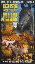 Смотреть фильм King of the Stallions (1942) онлайн в хорошем качестве SATRip