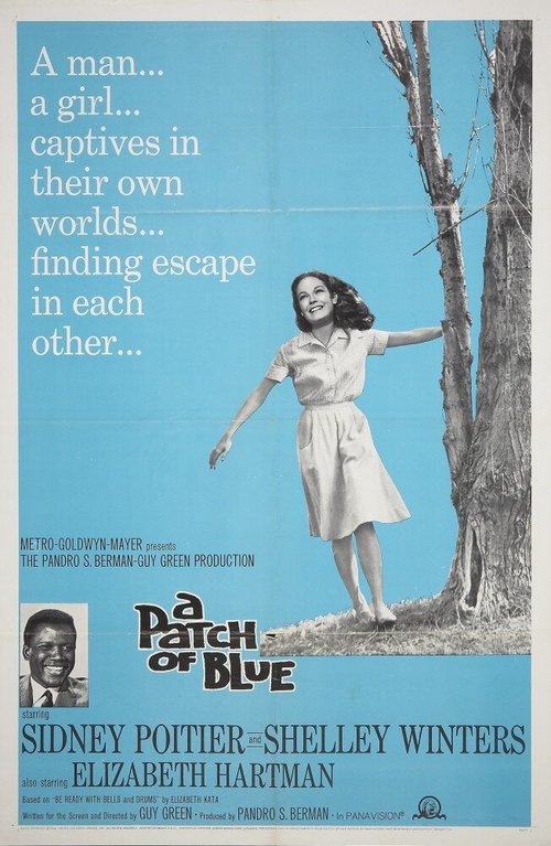 Смотреть фильм Клочок синевы / A Patch of Blue (1965) онлайн в хорошем качестве SATRip