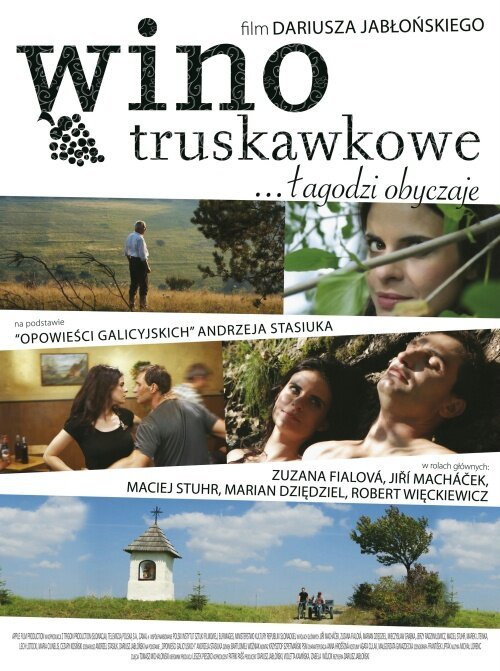 Смотреть фильм Клубничное вино / Wino truskawkowe (2008) онлайн в хорошем качестве HDRip