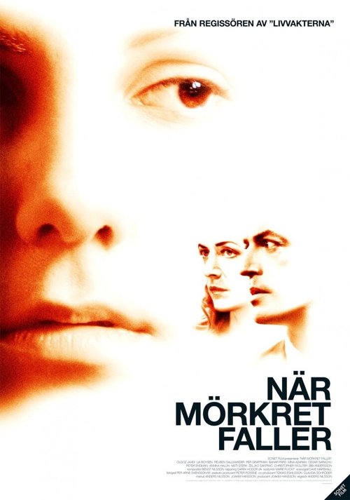 Смотреть фильм Когда сгустится тьма / När mörkret faller (2006) онлайн в хорошем качестве HDRip
