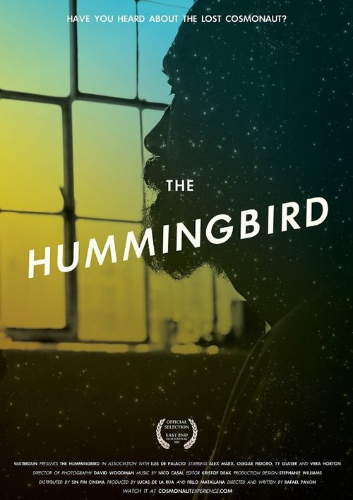 Смотреть фильм Колибри / The Hummingbird (2013) онлайн 