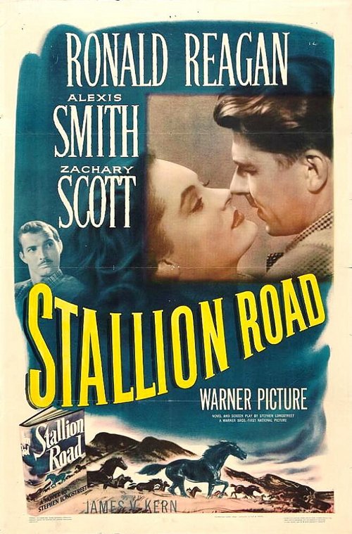 Смотреть фильм Конный путь / Stallion Road (1947) онлайн в хорошем качестве SATRip