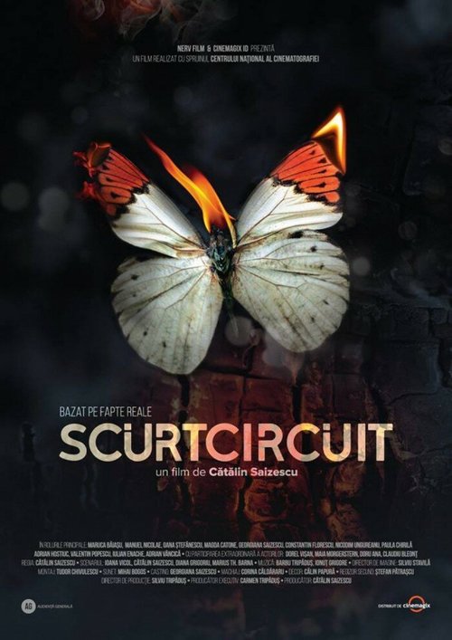 Смотреть фильм Короткое замыкание / Scurtcircuit (2017) онлайн в хорошем качестве HDRip