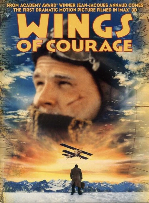 Смотреть фильм Крылья отваги / Wings of Courage (1995) онлайн в хорошем качестве HDRip
