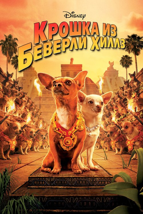 Смотреть фильм Крошка из Беверли-Хиллз / Beverly Hills Chihuahua (2008) онлайн в хорошем качестве HDRip