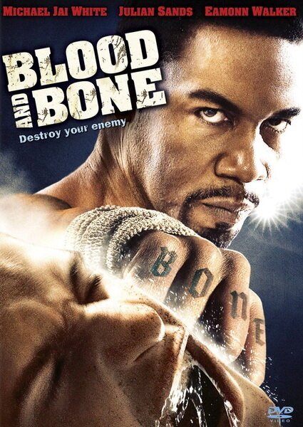 Смотреть фильм Кровь и кость / Blood and Bone (2009) онлайн в хорошем качестве HDRip