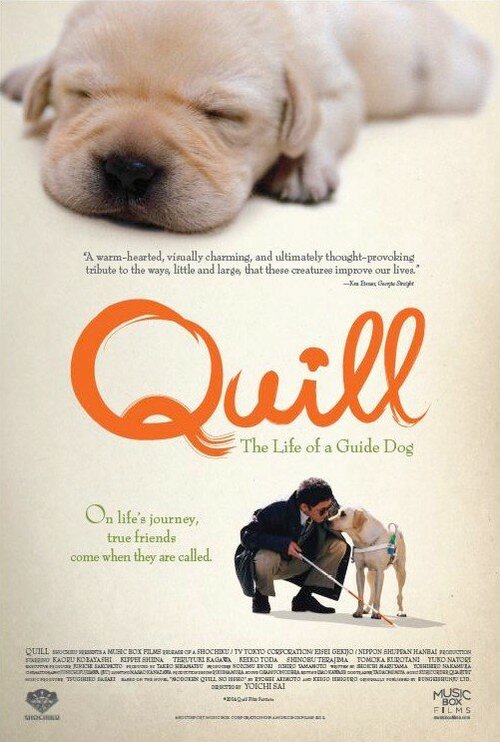 Смотреть фильм Куилл / Quill (2004) онлайн в хорошем качестве HDRip