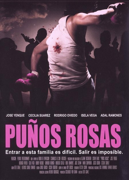 Смотреть фильм Кулаки розы / Puños rosas (2004) онлайн в хорошем качестве HDRip