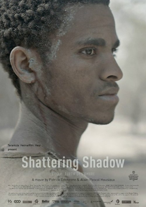 Смотреть фильм L'éclat furtif de l'ombre (2014) онлайн в хорошем качестве HDRip