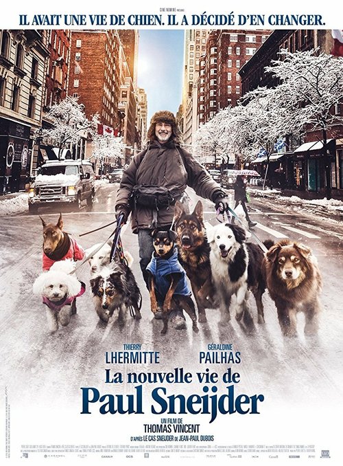 Смотреть фильм La nouvelle vie de Paul Sneijder (2016) онлайн в хорошем качестве CAMRip