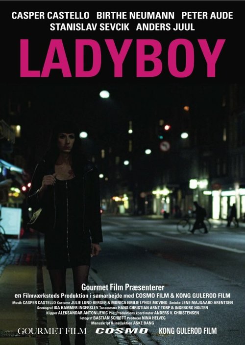 Смотреть фильм Ladyboy (2011) онлайн в хорошем качестве HDRip