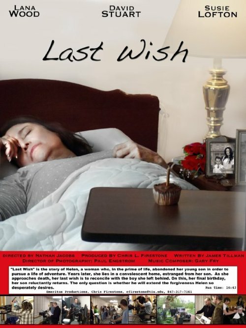 Смотреть фильм Last Wish (2010) онлайн 