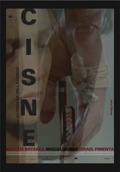 Смотреть фильм Лебедь / Cisne (2011) онлайн в хорошем качестве HDRip