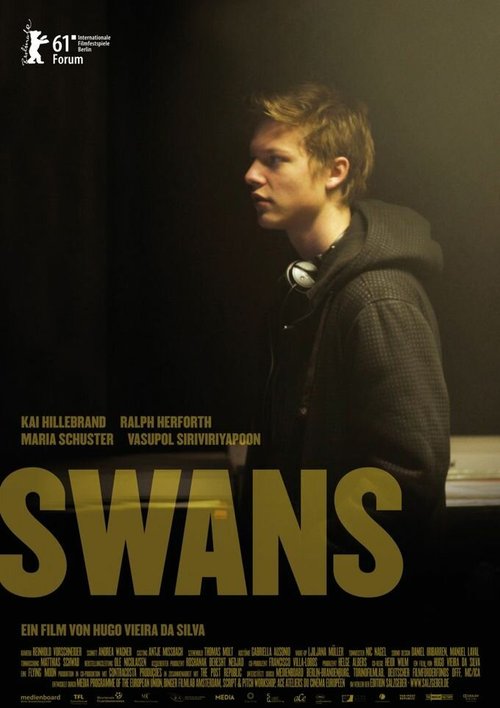 Смотреть фильм Лебеди / Swans (2011) онлайн в хорошем качестве HDRip