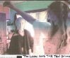Смотреть фильм Леди и таксист / The Lady and the Taxi Driver (2011) онлайн в хорошем качестве HDRip