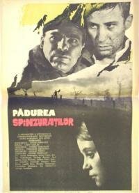 Смотреть фильм Лес повешенных / Padurea spânzuratilor (1964) онлайн в хорошем качестве SATRip