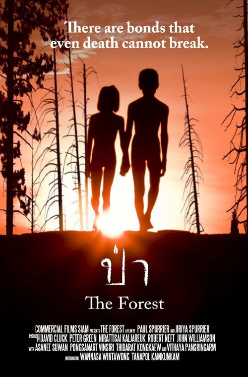 Смотреть фильм Лес / The Forest (2016) онлайн в хорошем качестве CAMRip
