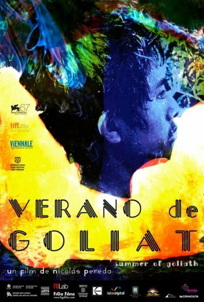 Смотреть фильм Лето Голиафа / Verano de Goliat (2010) онлайн в хорошем качестве HDRip