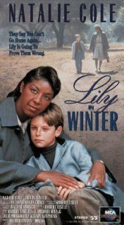 Смотреть фильм Лили зимой / Lily in Winter (1994) онлайн в хорошем качестве HDRip